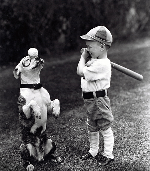 Famous dogs RIP CBS News