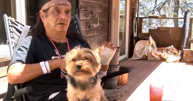 Pintsize dog helps save owner from bear attack CBS News