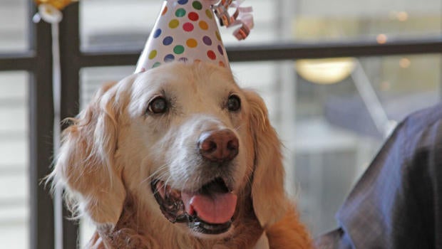 dogbirthday.jpg