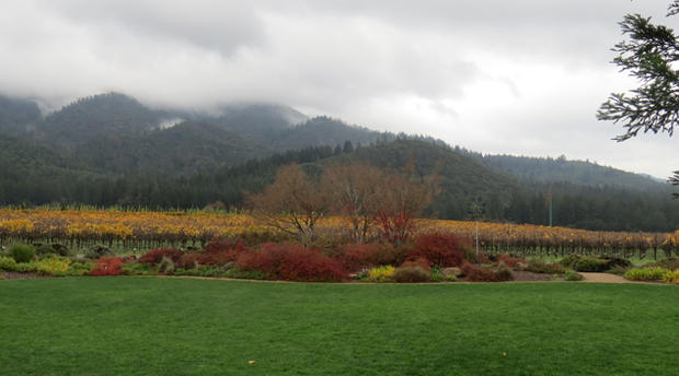 St. Francis Winery 