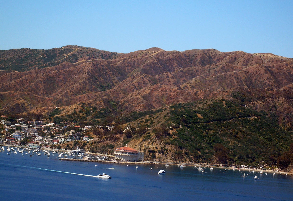 Celebrity death scenes