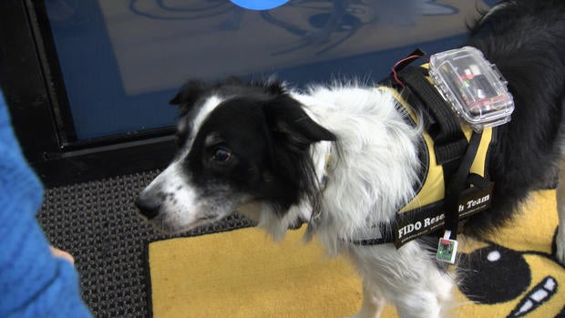 sky-in-vest.jpg