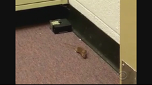 detroitschools.png