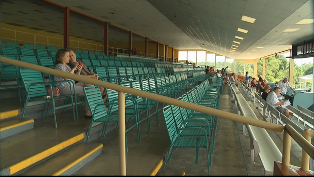 begnaudgreyhounds021216en3.png