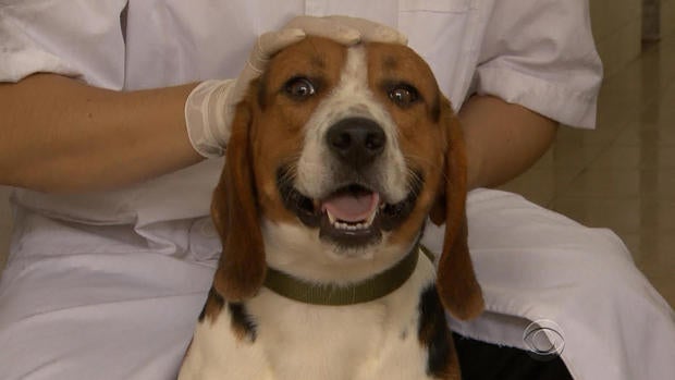 en0313doanegmobeagles.jpg