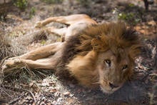 gettyimages-526790214.jpg