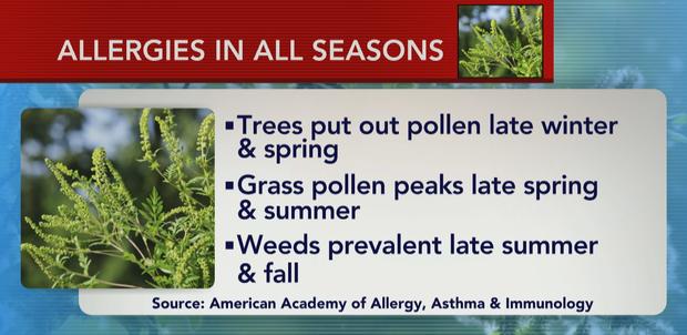 ctm0518allergiesseasons.jpg