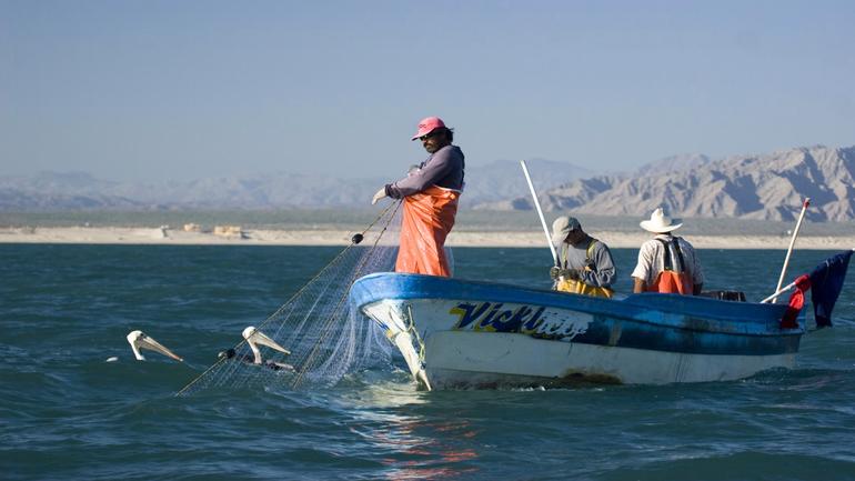 fishermen-9-chris-johnson.jpg