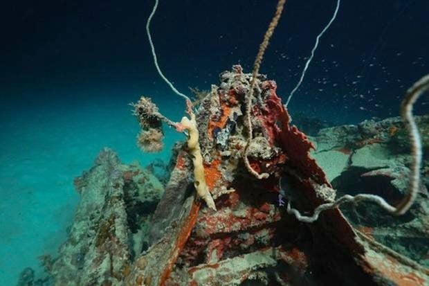 project-recover-wreck.jpg
