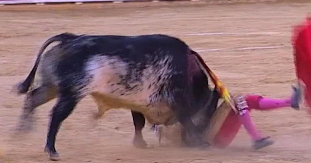 bullfighter-killed-by-bull-during-fight-in-spain-for-the-first-time-in