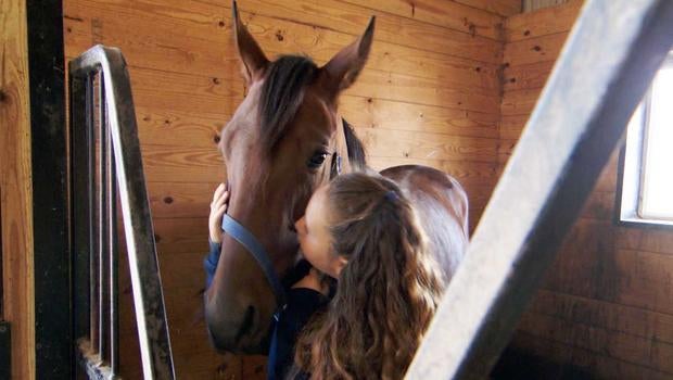 evehartmanhorse0807pic4.jpg