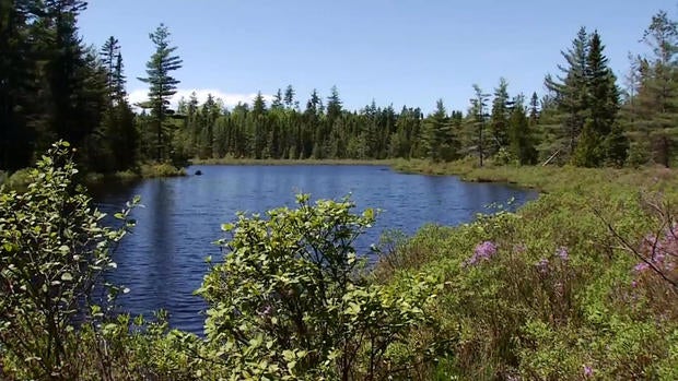 katahdin-woods-reid.jpg