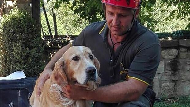 italy-quake-dog-rescue-ap-16246590417094.jpg