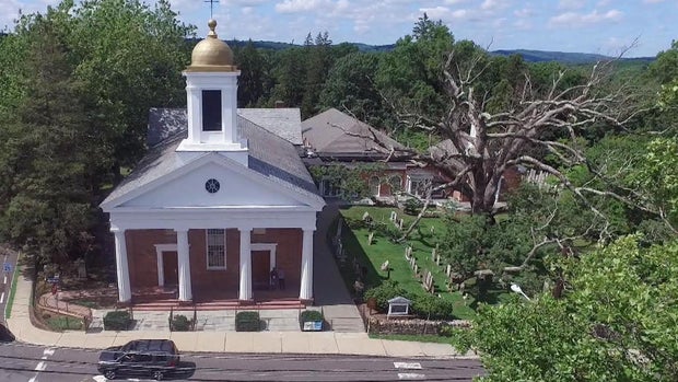 Crews Start Taking Down Beloved 600 Year Old White Oak Tree