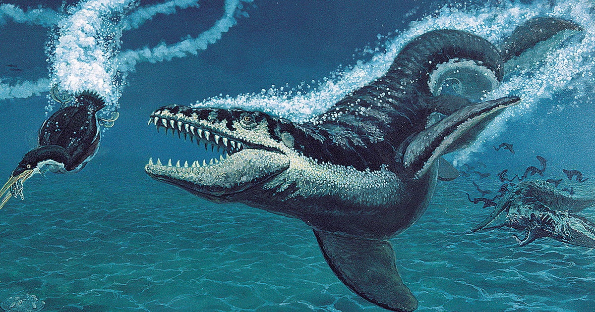 North Dakota fossils could be new species of ancient marine reptile ...
