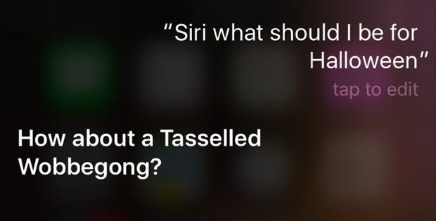 siri7.png