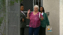 miami-voter-fraud-3-2016-10-28.png