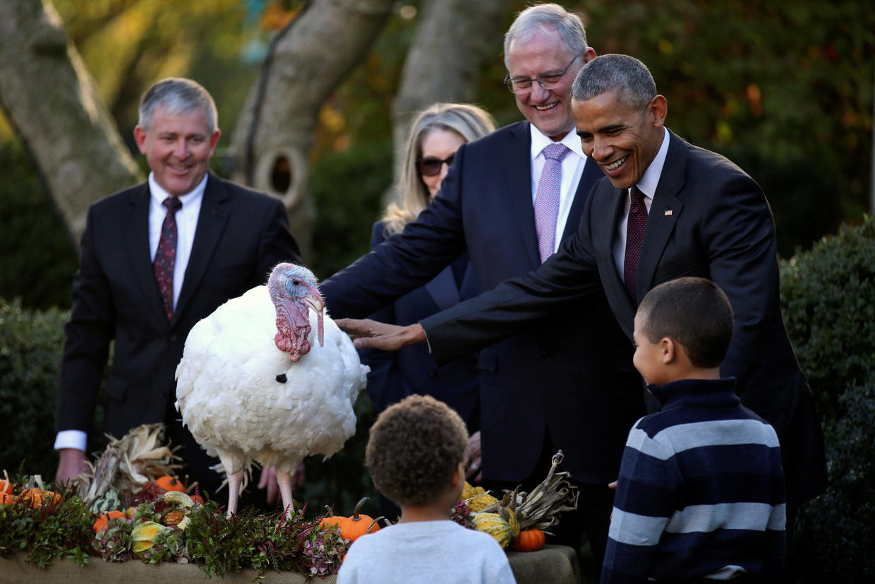 1975 Ceremony Presidential Thanksgiving Turkey Pardons Through The Years Pictures Cbs News