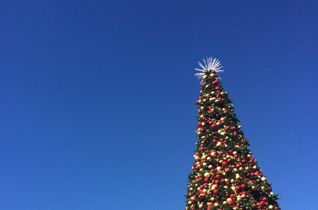 holiday-tree-light-show - verified 