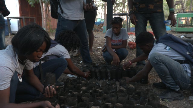 kidsworking-garden.jpg