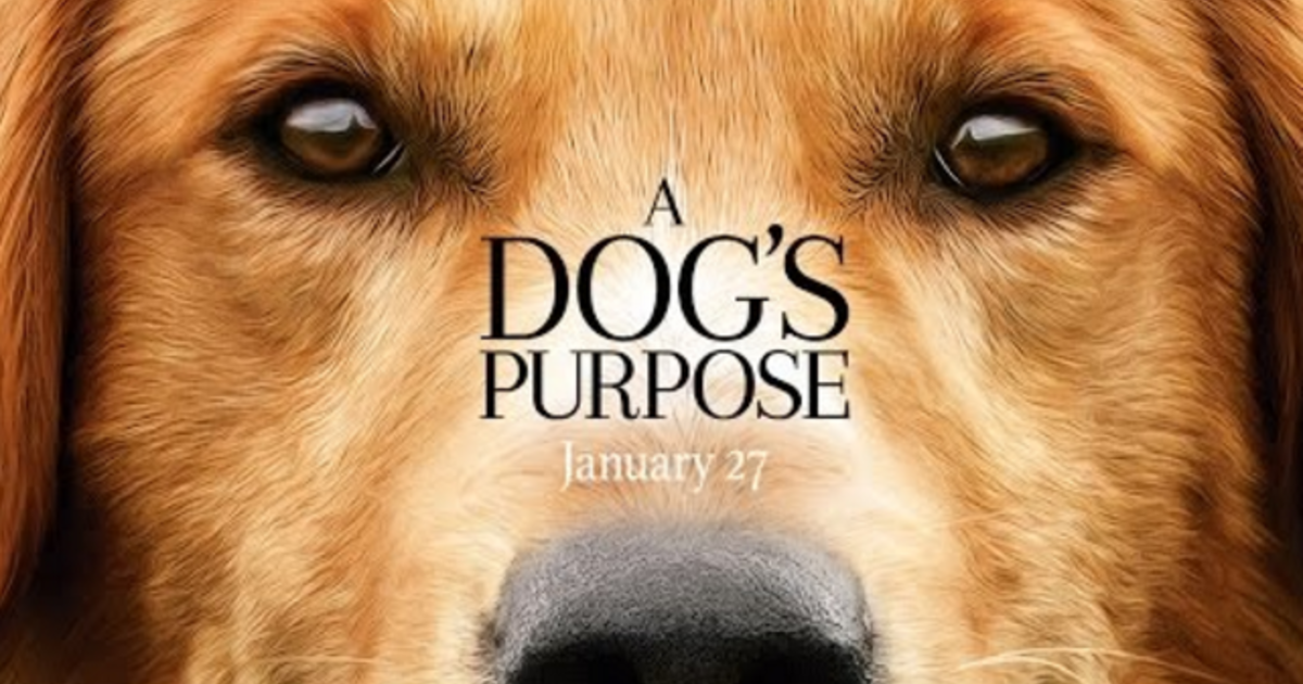 is a dogs purpose cancelled