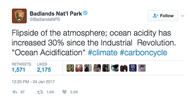 screen-shot-2017-01-24-at-4-07-16-pm.png