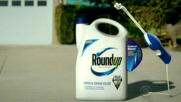 Ingredient In Roundup Weed Killer Going On List As Potentially Cancerous Ingredient In Roundup Weed Killer Going On List As Potentially Cancerous