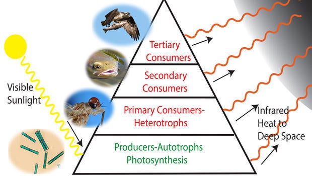 energy-pyramid-620.jpg