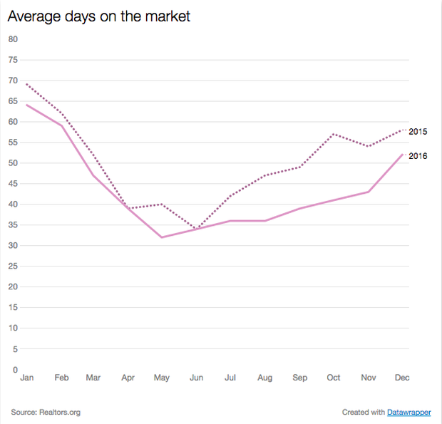 market-days.png