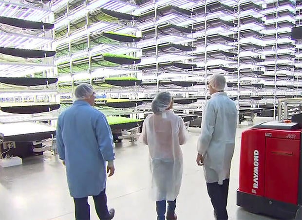 vertical-farming-aerofarms-c-promo.jpg