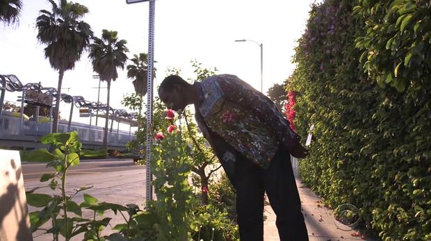 170409-en-villarreal-gangsta-gardener01.jpg