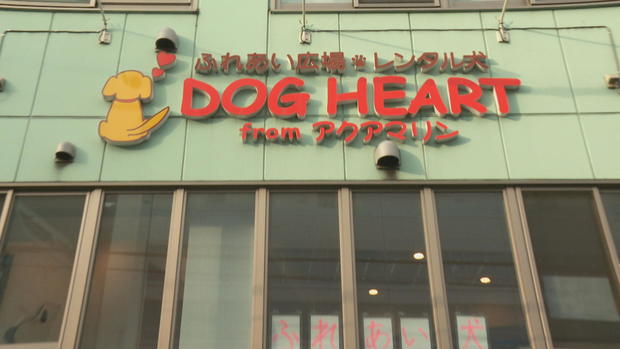dog-heart.jpg