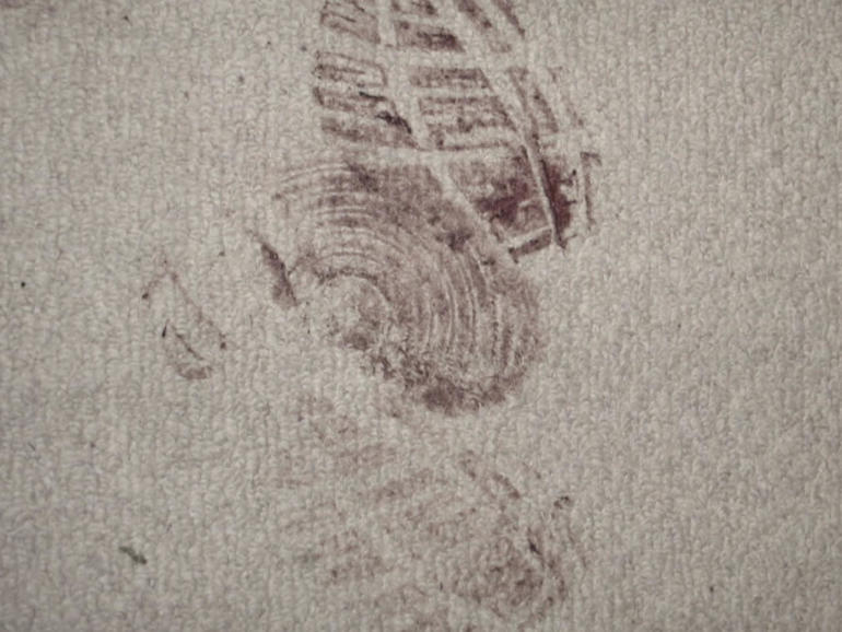 landowskli-shoeprint.jpg