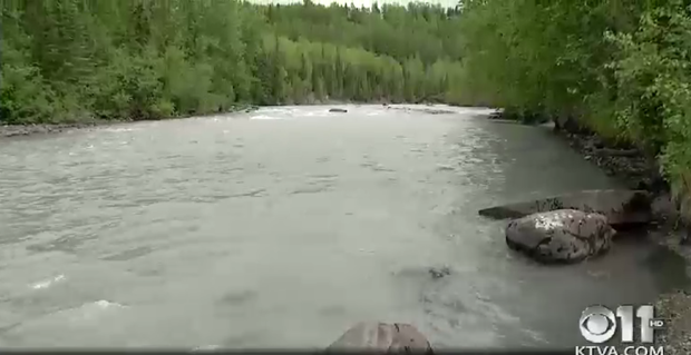 alaska-bear-attack-2017-6-14.png