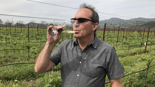 Bruce Regalia of Materra | Cunat Family Vineyards 