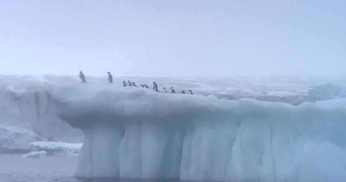 palmer station antarctica iceberg break off