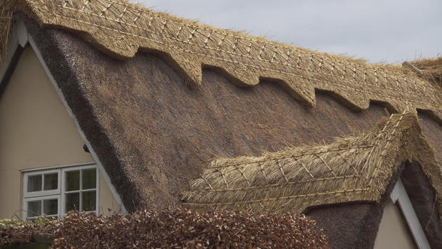 thatched-roof-design-620.jpg 