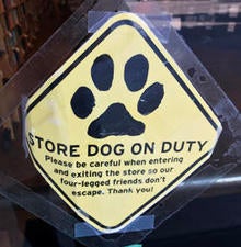 parnassus-books-store-dog-sign-244.jpg
