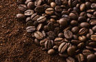 Coffee beans and ground coffee 