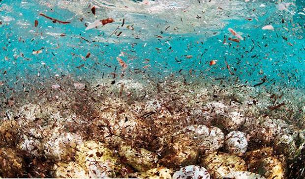 arctic-plastic-floating-microplastics.jpg