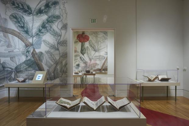 Visual Voyages-The Huntington Library, Art Collections, and Botanical Gardens 