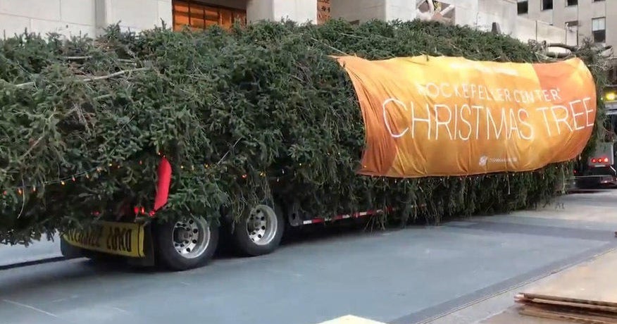 30 christmas tree