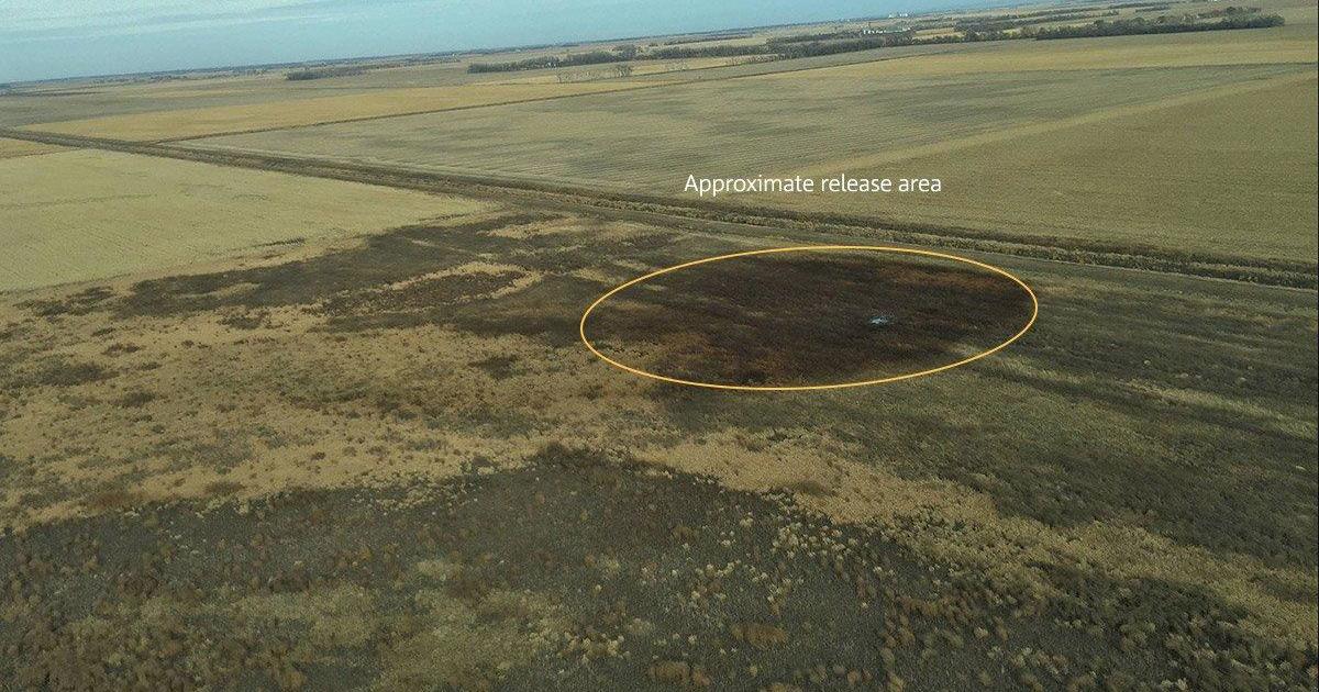 Keystone Pipeline Leak Spills 210000 Gallons Of Oil In South Dakota Cbs News 