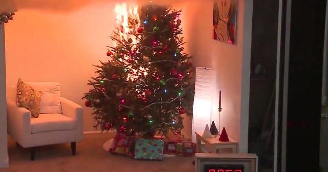 Christmas tree fire risk shown in dramatic video  CBS News