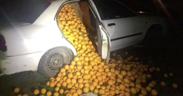 4 tons of stolen oranges found in 2 cars CBS News