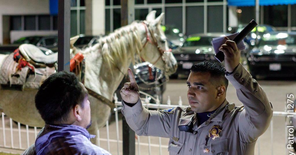 Man accused of riding horse on California freeway arrested for DUI - Vimarsana News