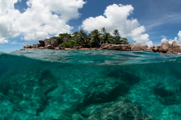 Seychelles Coral Reef Fight