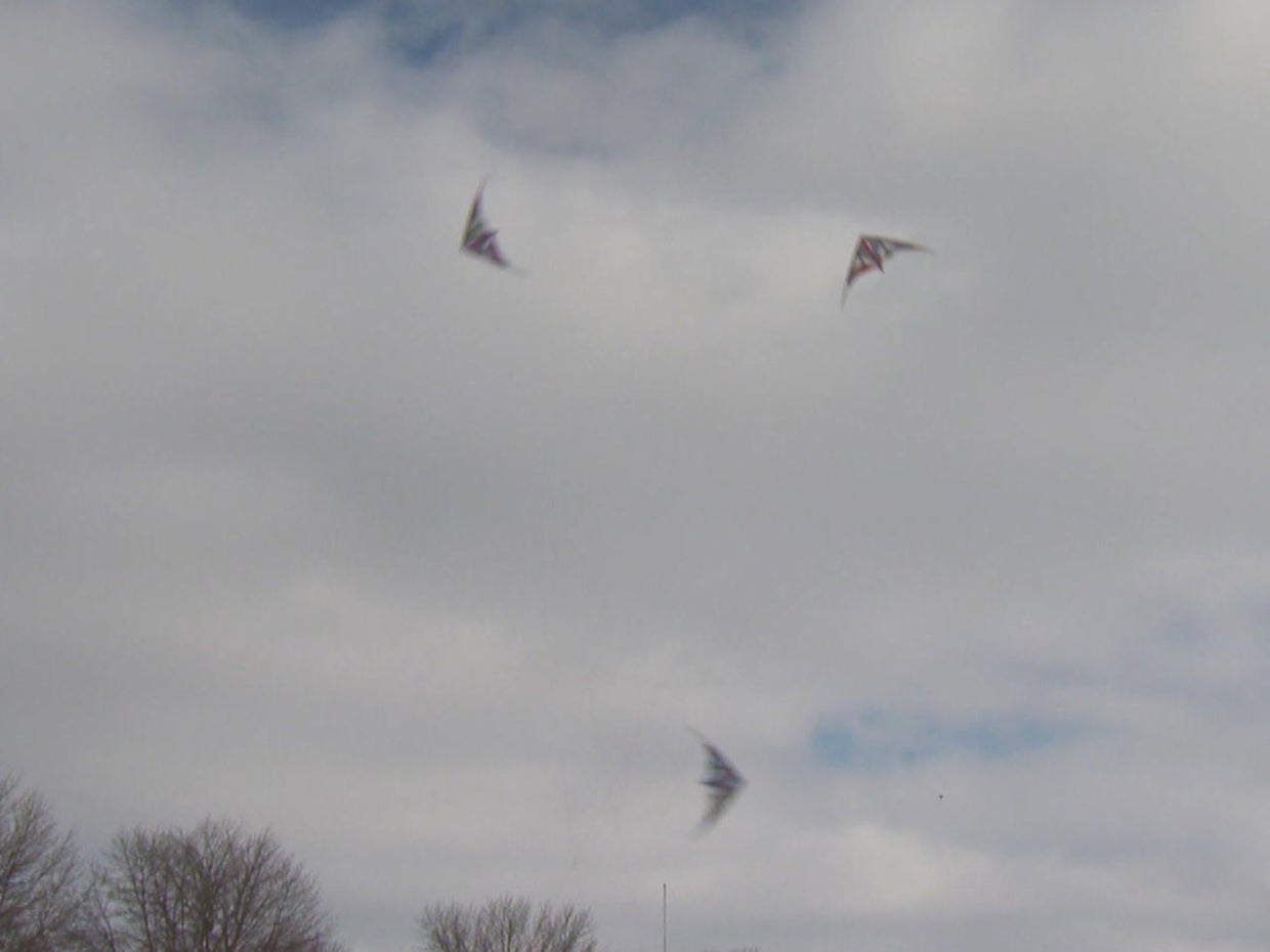 Go fly a kite, at the Color the Wind Kite Festival in ‪‪Clear Lake