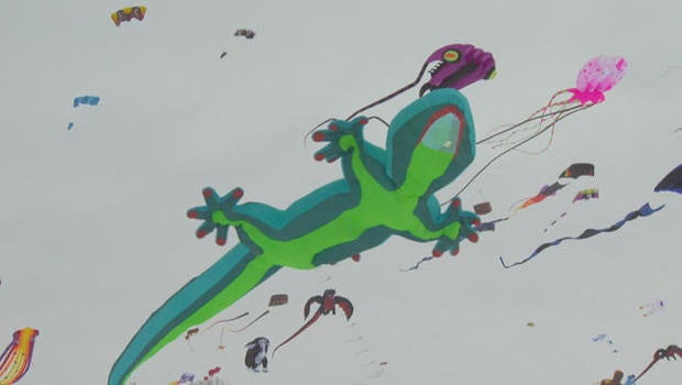 kites-sm-j234-forair-cowan-kites-032518-copy-01-copy-01-nogroups-01-consolidated-01-frame-7958.jpg