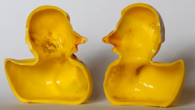 Switzerland Rubber Duckies
